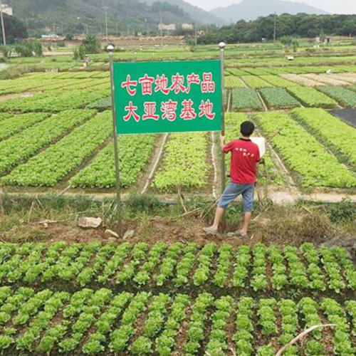 种植基地2种植基地深圳市葡萄视频APP官网下载安装农产品实业有限公司